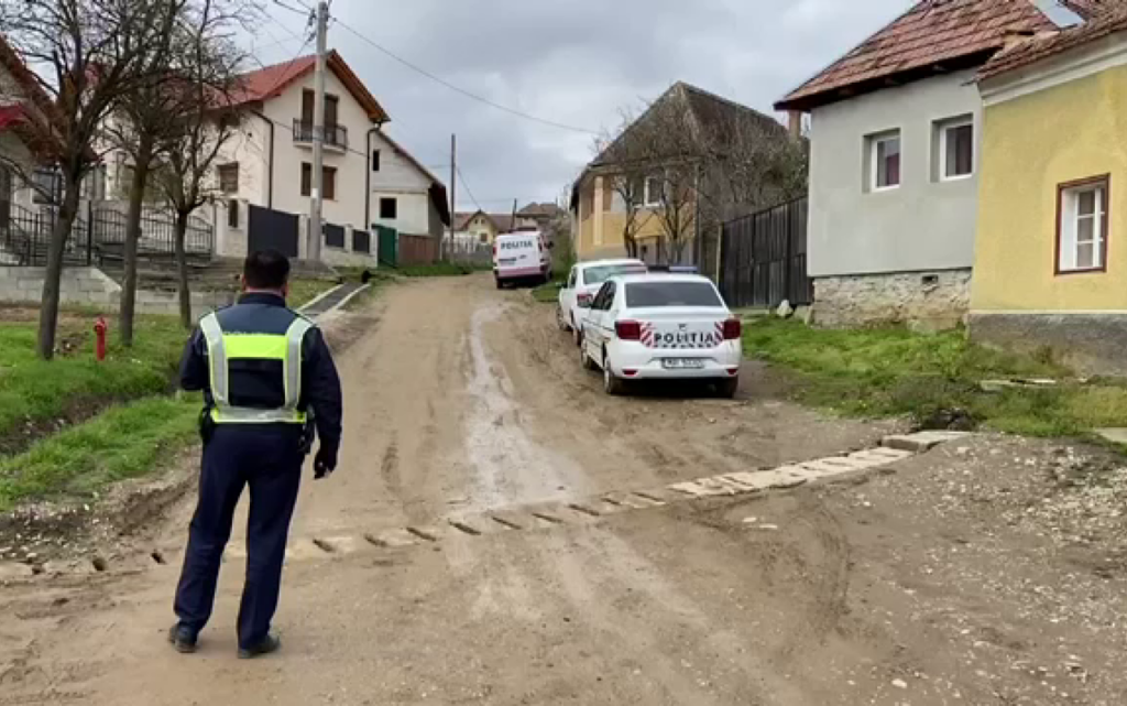 Doi copii de patru luni şi de aproape doi ani, uciși de mama lor. Femeia are probleme psihice