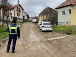 Doi copii mici au fost uciși într-o localitate din Maramureș, iar suspectă este chiar mama acestora. Polițiștii o audiază pe femeie
