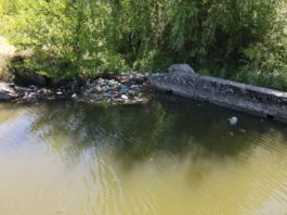Se colectează deșeurile aflate în zona golfului Cernei, care din păcate este extrem de cunoscută pentru acumulările excesive de deșeuri