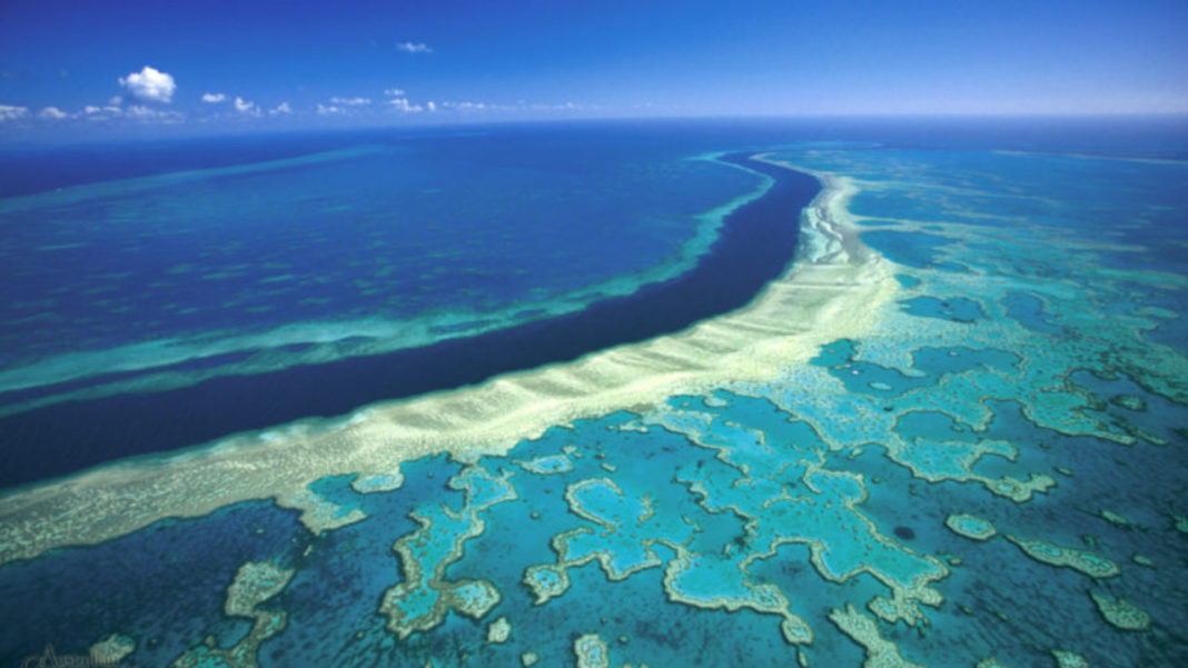 Marea Barieră de Corali ar trebui inclusă pe o listă a Siturilor de Patrimoniu Mondial care se află „în pericol”