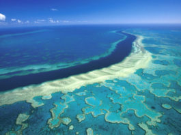 Marea Barieră de Corali ar trebui inclusă pe o listă a Siturilor de Patrimoniu Mondial care se află „în pericol”