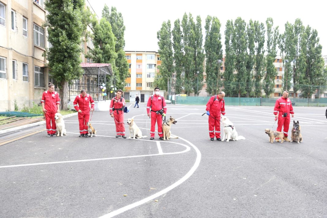 Lecţie cu câini de salvare la Şcoala 