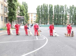 Lecţie cu câini de salvare la Şcoala "Elena Farago" din Craiova