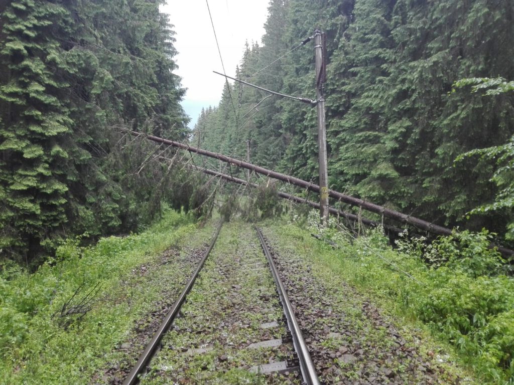 (GALERIE FOTO) Vântul a dat peste cap circulația feroviară. Zeci de arbori s-au prăbușit pe firul de contact