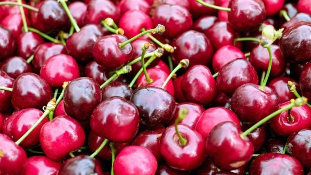Cireșele au fost furate din sud-vestul Germaniei