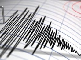 Un cutremur cu magnitudinea 3,1 pe Richter s-a produs marţi dimineaţa în judeţul Vrancea