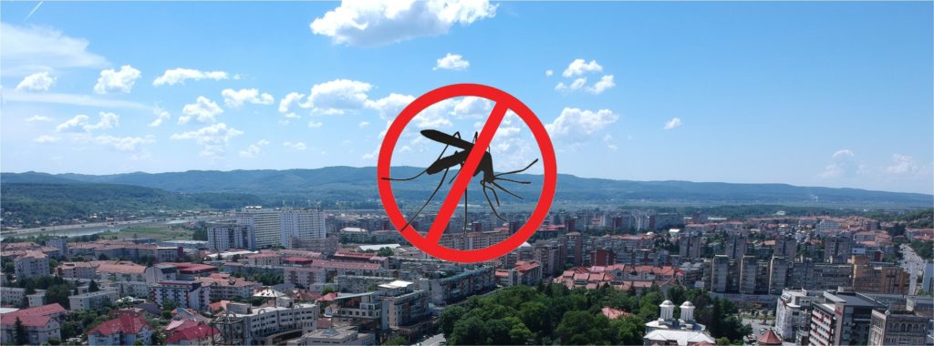 Începe dezinsecţia în municipiul Râmnicu Vâlcea