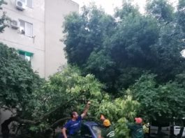 Proprietarii din sectorul 4 din București ale căror mașini au fost avariate în urma furtunii de ieri vor fi despăgubiți de primărie