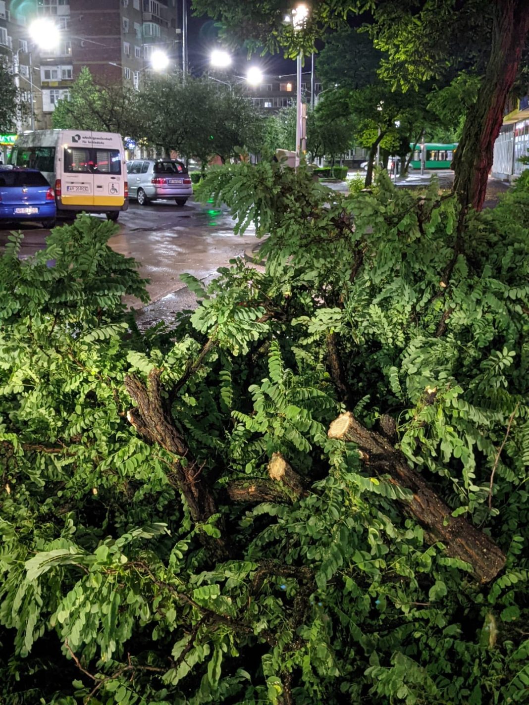 Furtuna de vineri seară a făcut mai multe pagube în municipiul Arad (Foto: Facebook Primăria Municipiului Arad)