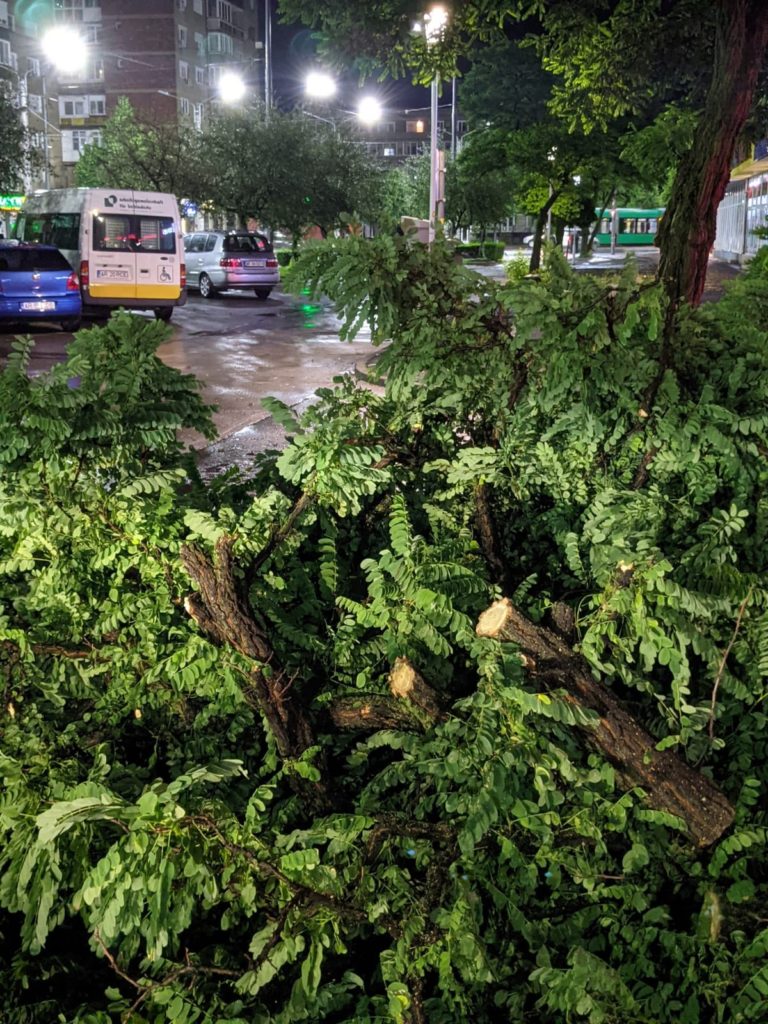 Furtuna a facut ravagii în Arad
