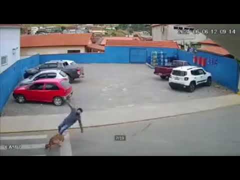 (VIDEO) Accident neobişnuit: Bărbat lovit pe trecerea de pietoni de un câine