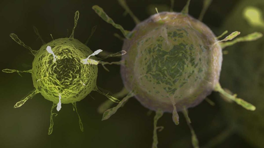 Lambda, o nouă tulpină de coronavirus care se răspândeşte în America Latină