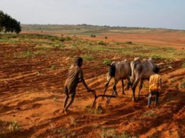 Foametea extremă se acutizează în țările cele mai expuse la catastrofe climatice