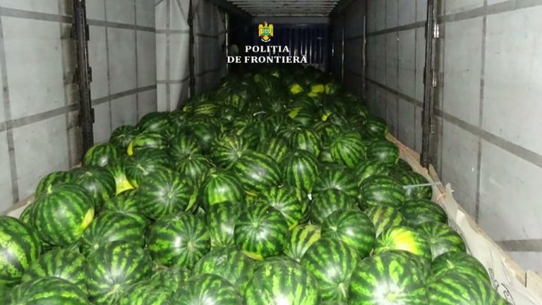 Afgani, ascunși într-un autocamion cu pepeni, depistaţi la PTF Bechet