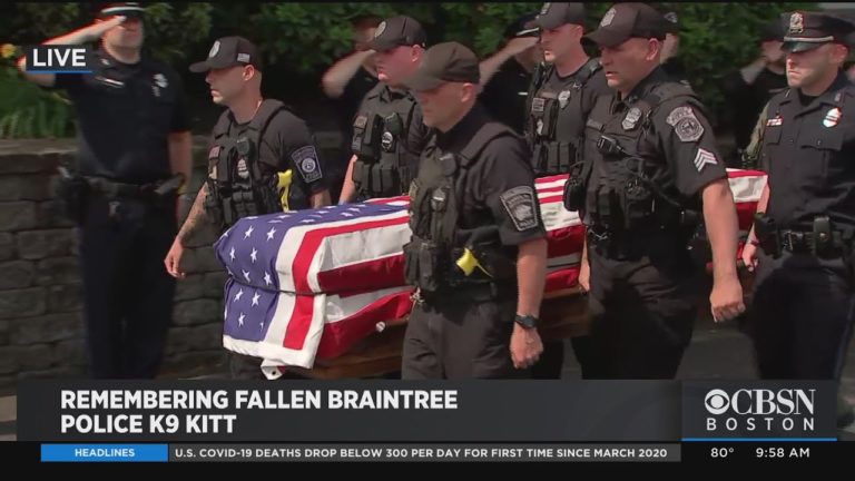 (VIDEO) Câine polițist erou, înmormântat cu onoruri militare