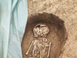 (UPDATE) Noi detalii despre scheletele umane găsite pe șantierul drumului expres Craiova – Pitești