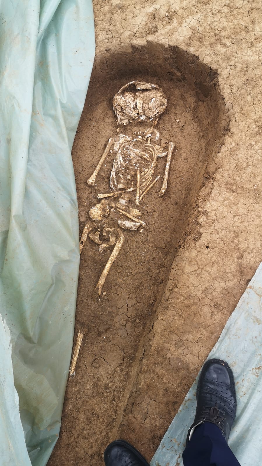 (UPDATE) Noi detalii despre scheletele umane găsite pe șantierul drumului expres Craiova – Pitești