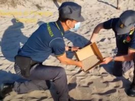 Autoritatile italiene pun inapoi pe plaje nisipul furat Foto: Guardia di Finanza