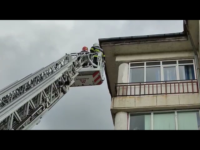 (VIDEO) Un porumbel prins de acoperișul Direcției Agricole Olt, salvat de pompieri