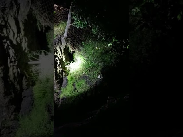 (VIDEO) Vâlcea: Alunecare de teren în Roșiile. O casă prăbușită și persoane evacuate