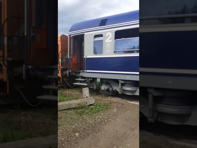 (VIDEO) Șase persoane, dintre care doi copii, au scăpat cu viață după ce au fost lovite de tren
