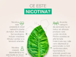 Nicotina: „mituri” și realitate în legătură cu fumatul