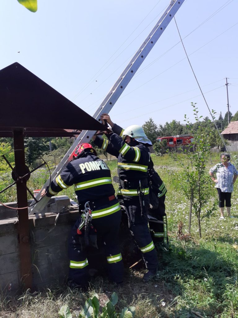 Vâlcea: Pisicuță salvată de pompieri dintr-o fântână