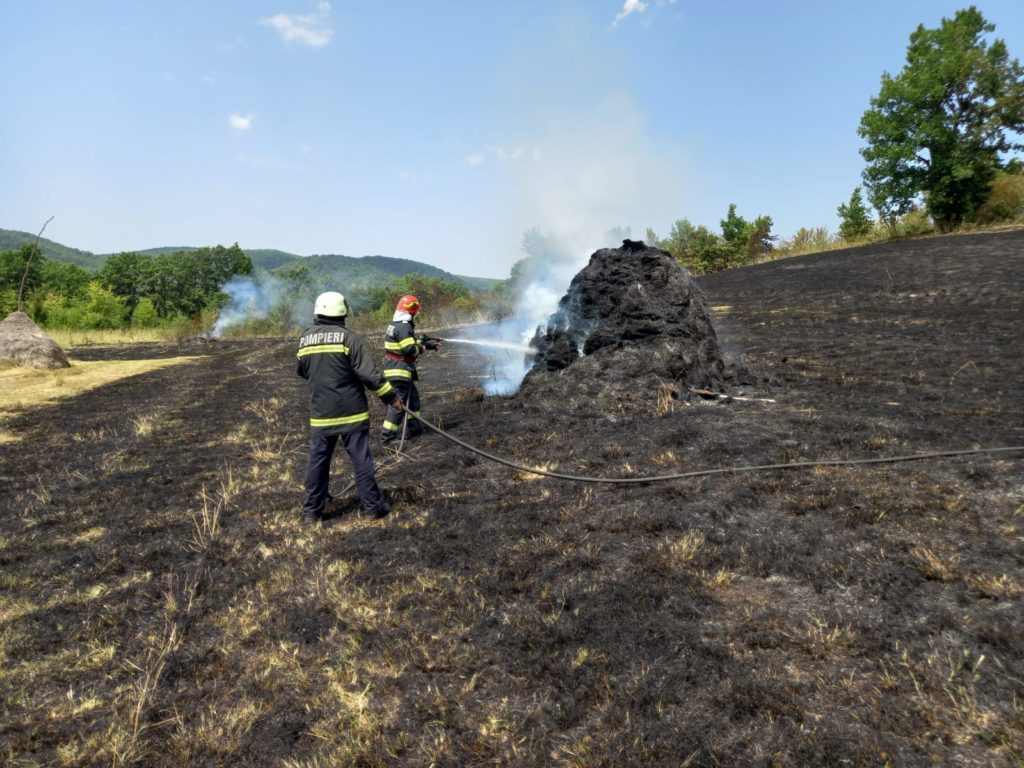 Mehedinţi: Doi răniţi în urma unui incendiu de vegetaţie uscată