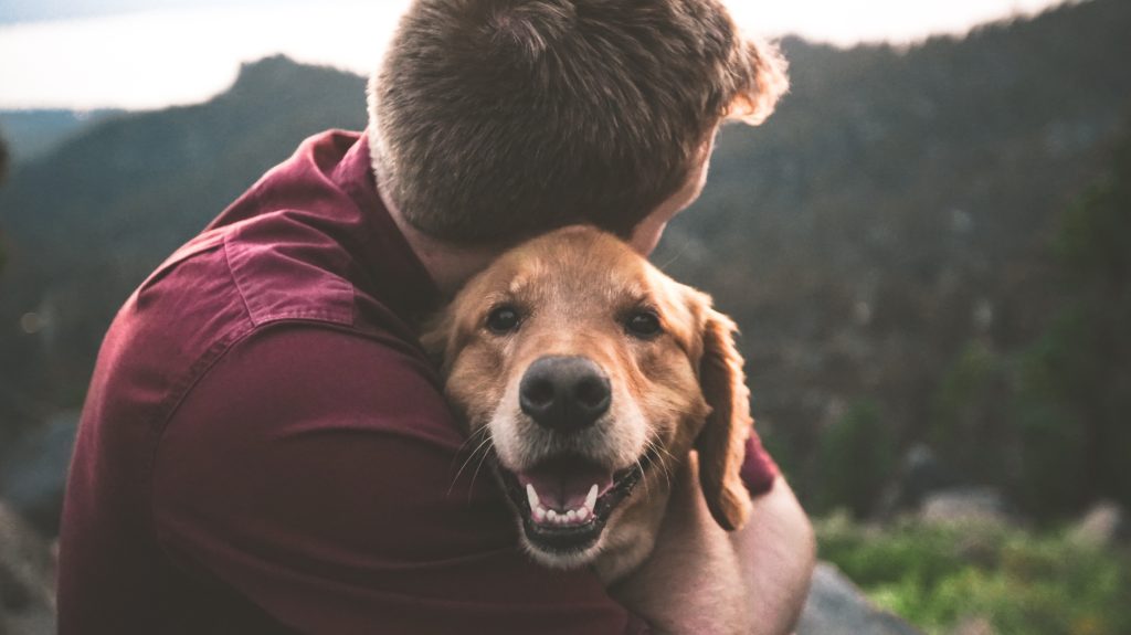 Campanie de adopţie la Adăpostul canin Breasta