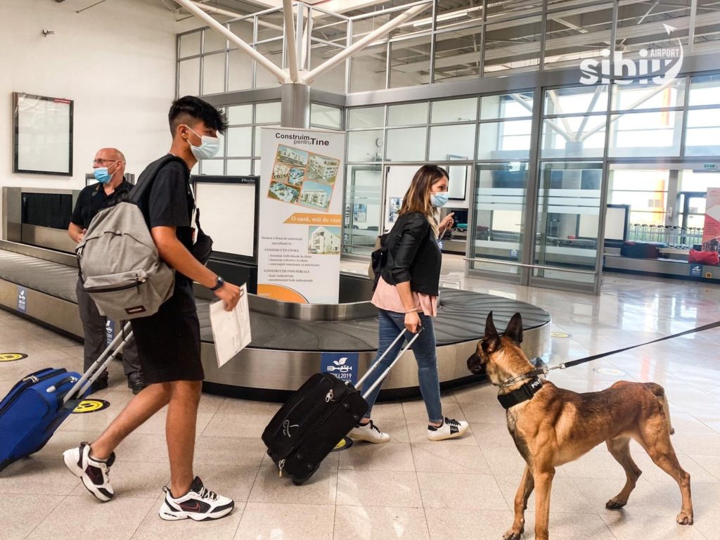 Premieră în România. Câini care pot depista infecția cu Covid-19, la Aeroportul Sibiu