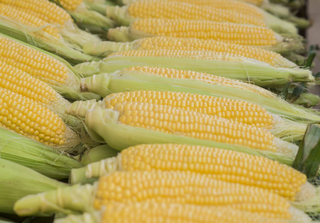 Deficitul României în comerțul cu produse agroalimentare a crescut cu 66%