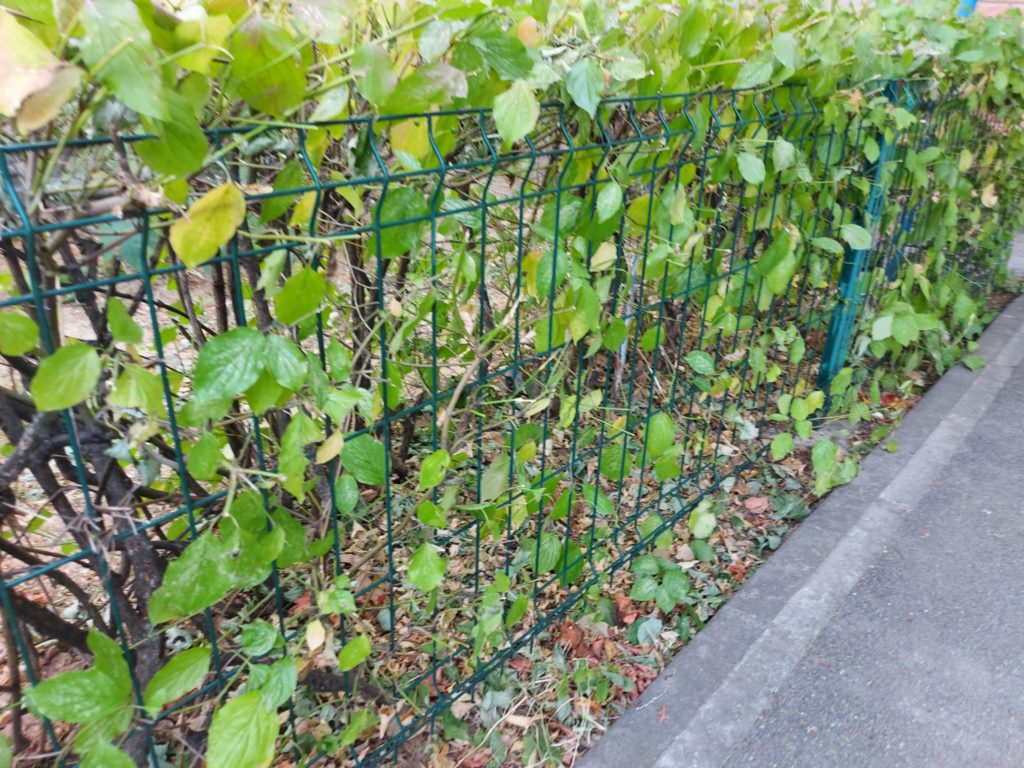 Primăria Craiova achiziţionează gard bordurat şi ornamental pentru împrejmuirea spaţiilor verzi şi gard pentru împrejmuirea locurilor de joacă