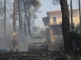 Un incendiu de amploare a făcut ravagii lângă Atena