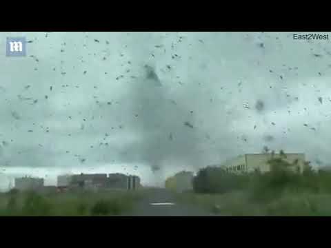 Tornadă de ţânţari, filmată în Siberia