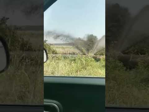 O conductă CEO care transporta apă uzată a crăpat şi a distrus mai multe culturi agricole