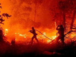 O sută de incendii fac ravagii în vestul Canadei şi în California