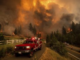 5.400 de pompieri americani luptă să stingă un incendiu din statul California