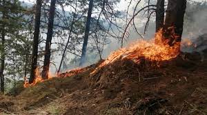 Incendiu de proporții pe Clisura Dunării