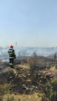 Un incendiu de vegetație uscată s-a propagat la două anexe gospodărești