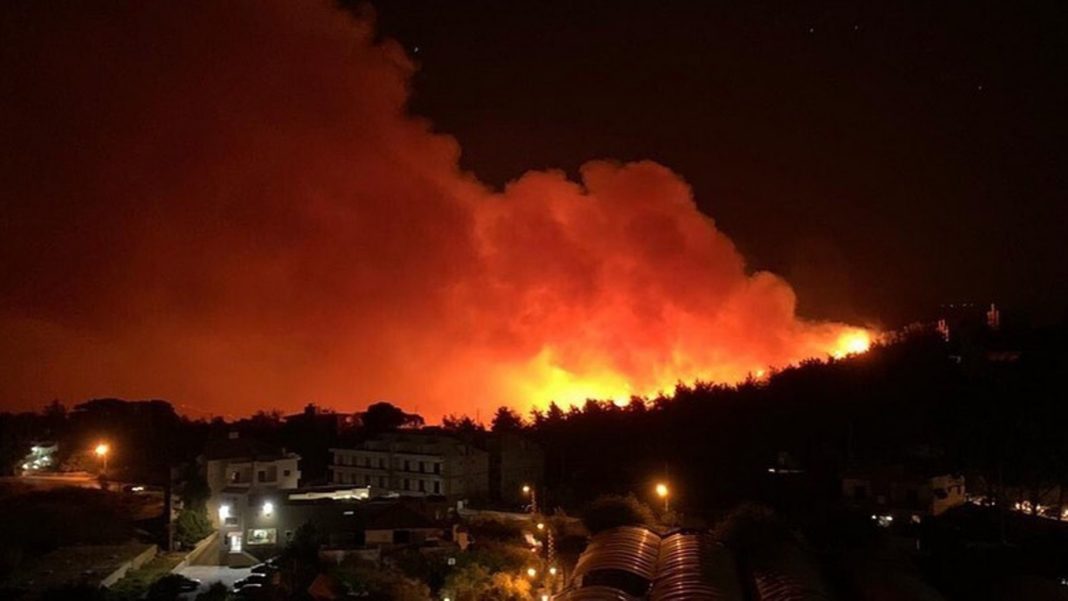 Nordul Libanului, devastat de incendii de pădure