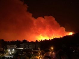 Nordul Libanului, devastat de incendii de pădure