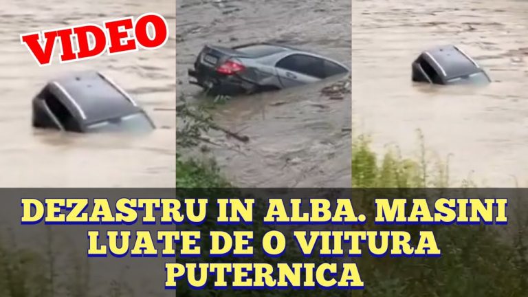 (VIDEO) Inundațiile au făcut prăpăd în Apuseni