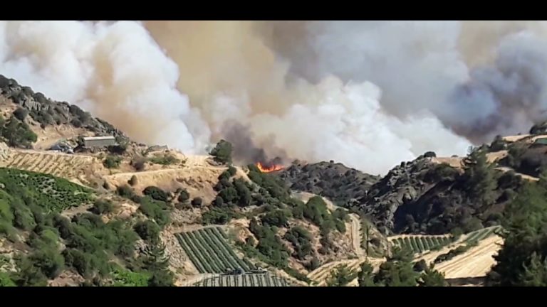 VIDEO. Incendiu în Cipru: „Cea mai mare tragedie după 1974”