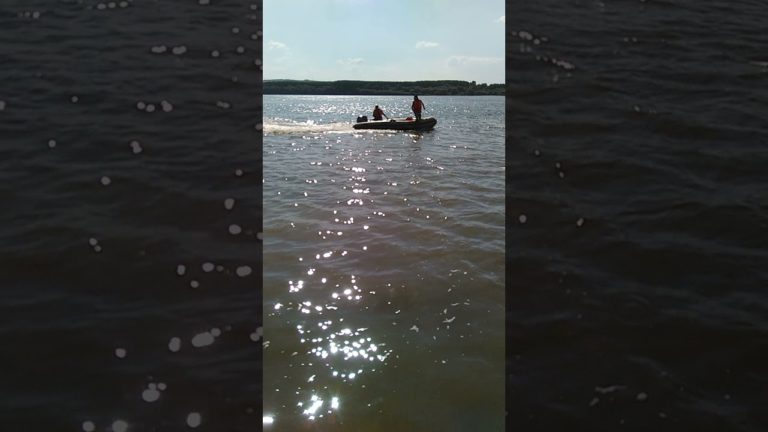 (VIDEO) Continuă căutările băiatului de 17 ani dispărut în Dunăre