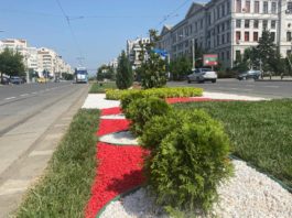 Bulevardul Calea București va beneficia de o amenajare peisagistică specială