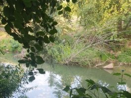 Gorj: Un băiat de 8 ani și doi adulți s-au înecat în râul Motru