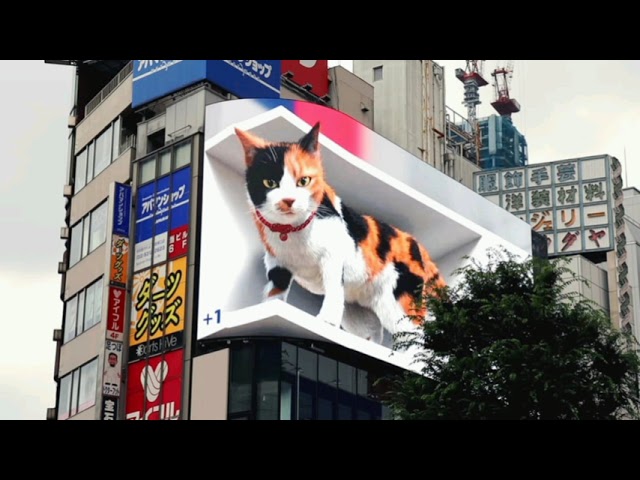 (VIDEO) O pisică 3D uriașă a apărut pe un panou publicitar în Tokyo