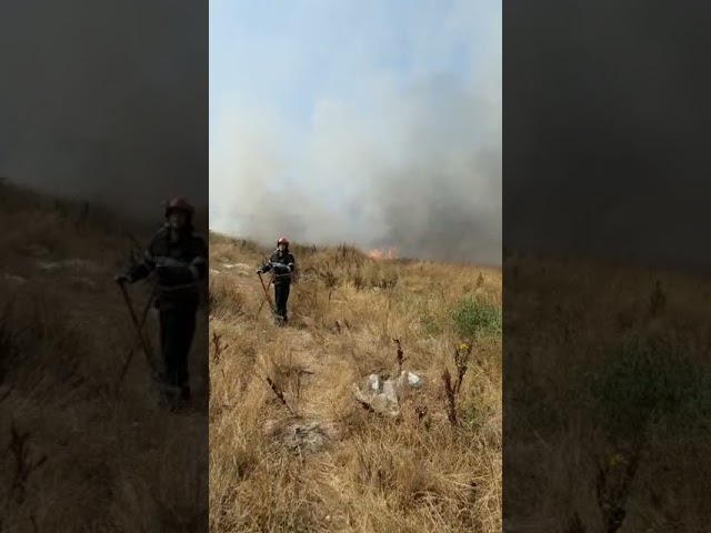 (VIDEO) Târgu Jiu: Incendiu de vegetație uscată în cartierul Narciselor
