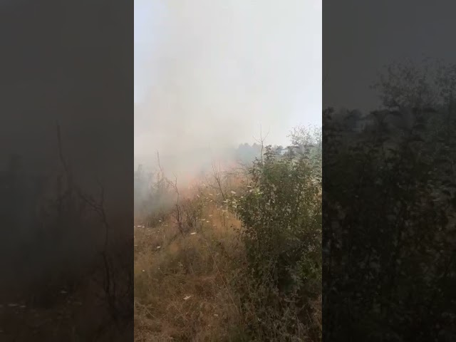 (VIDEO) Încă un incendiu de vegetație uscată la Târgu Jiu
