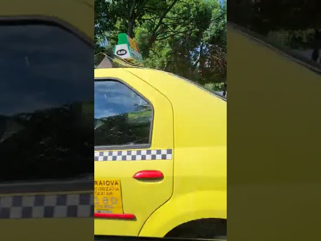 (VIDEO) Puși să strângă gunoiul după ce și-au vărsat pubelele în drum